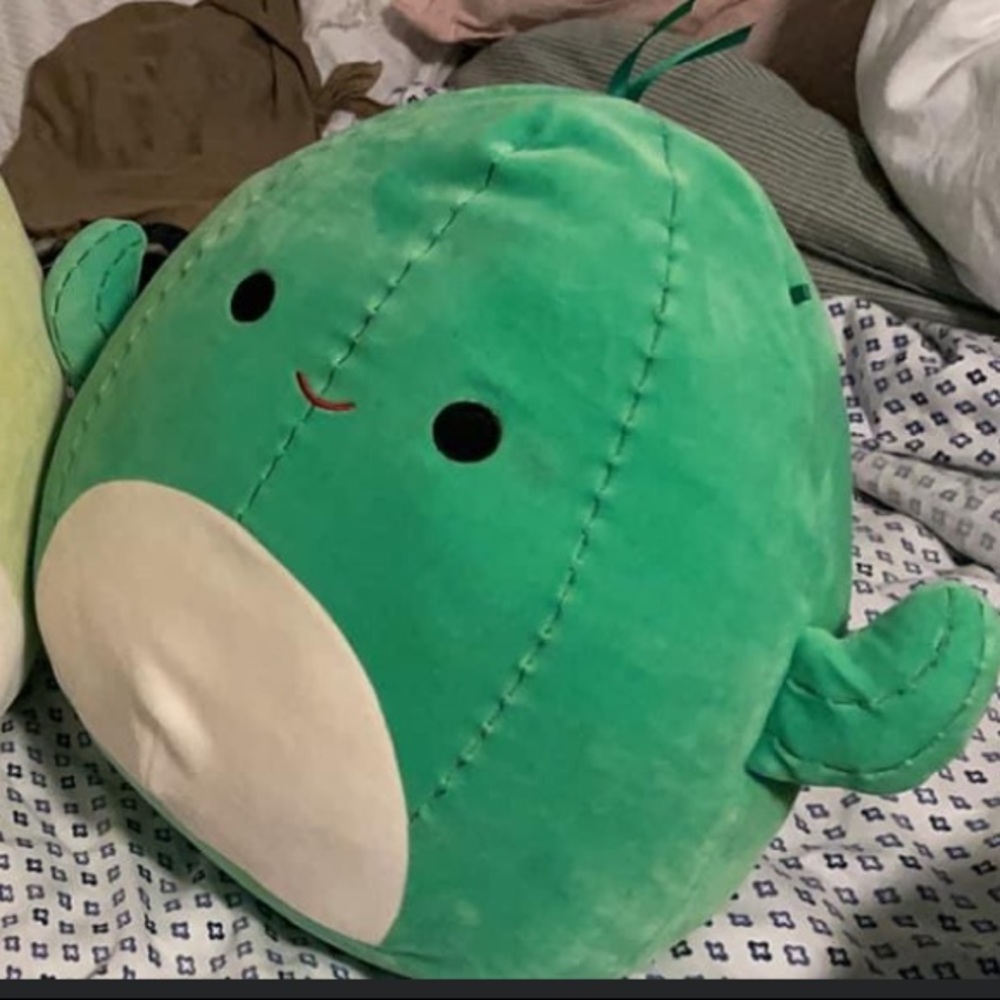 Marcellus The Cactus Squishmallow 8